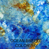 malia flaisher Ocean Breeze Color Way