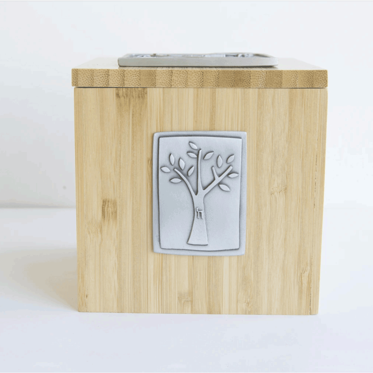 Emily Rosenfeld Judaica Pomegranate Tzedakah Box Side ViewArtistic Artisan Designer Judaica