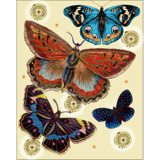 Colorful Butterfies Picture Light by Grace Gunning Grace Gunning
