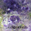 Amalia Flaisher Lavender field Color Way