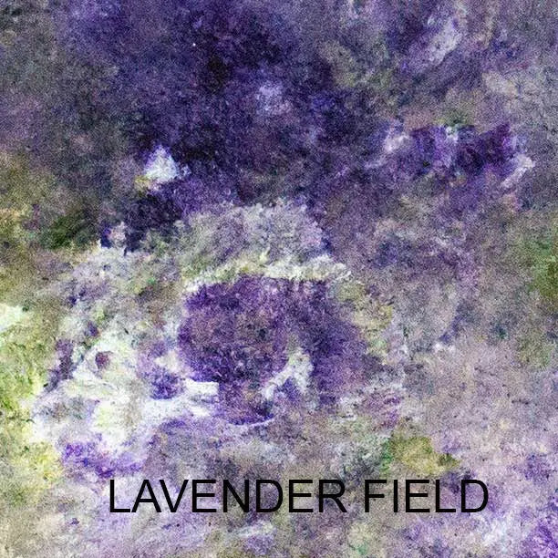Amalia Flaisher Lavender Field Collorway