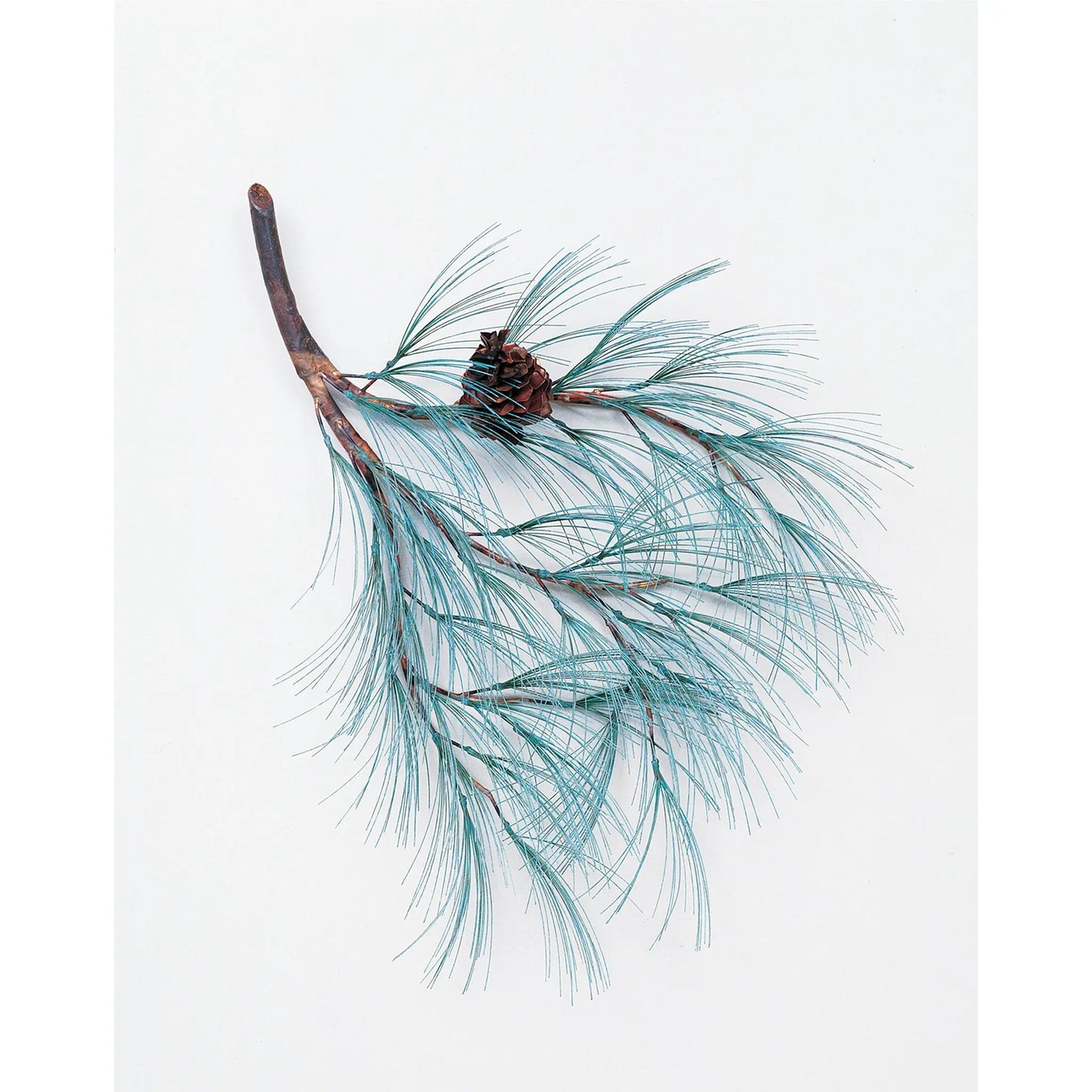 Andy Brinkley Small Copper Vedigris Pine Branch 134 28" W x 32"L Artistic Artisan Crafted Copper Wall Sculptures