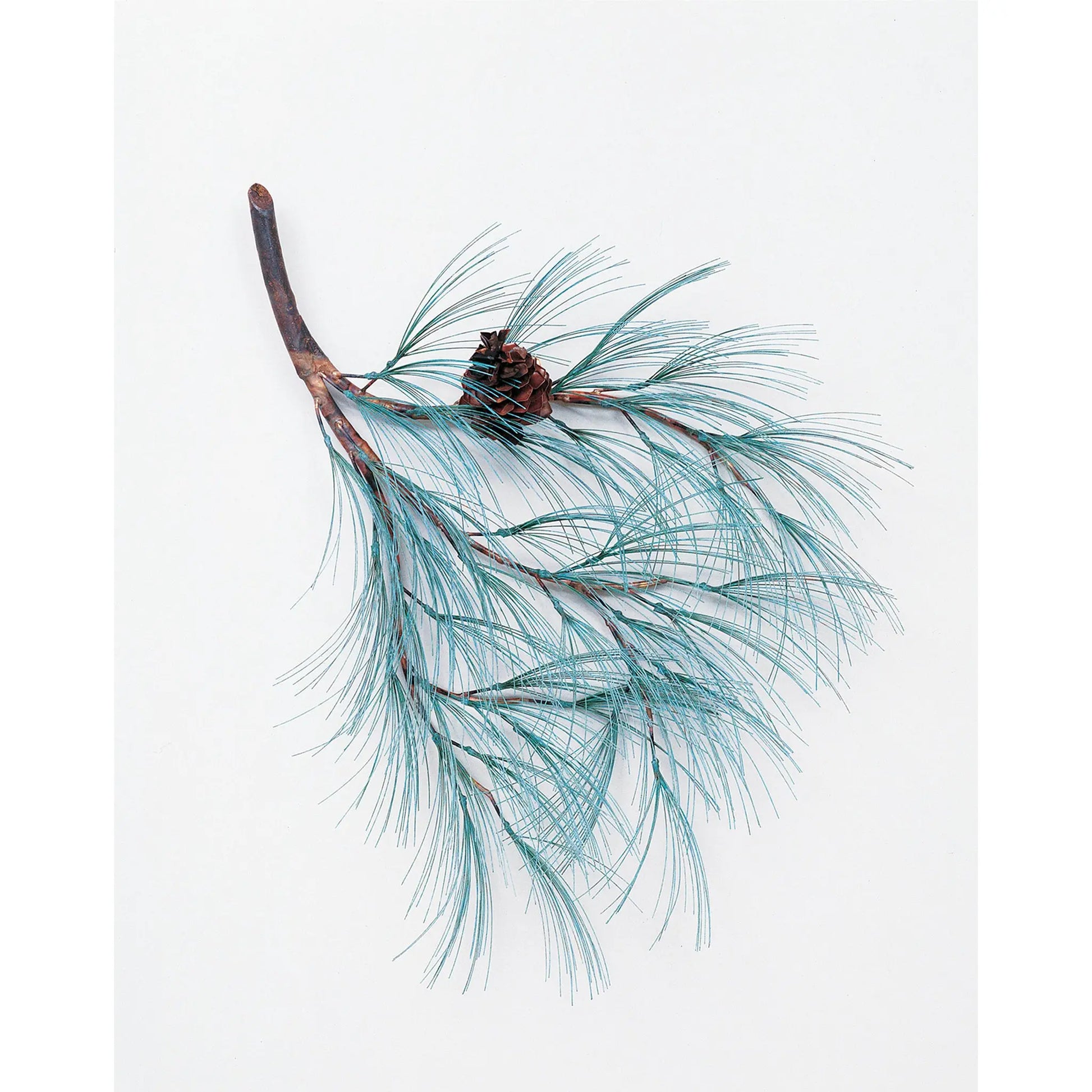Andy Brinkley Small Copper Vedigris Pine Branch 134 28" W x 32"L Artistic Artisan Crafted Copper Wall Sculptures