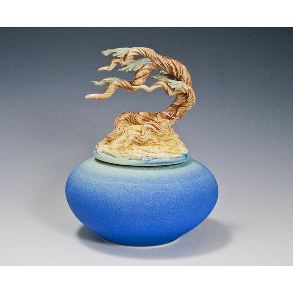 Ocean Cypress Root Covered Jar by Bonnie Belt Ceramics Hand-Thrown Hand-Built Stoneware Artistic Artisan Designer Pottery Jars