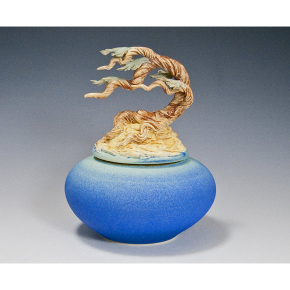 Ocean Cypress Root Covered Jar by Bonnie Belt Ceramics Hand-Thrown Hand-Built Stoneware Artistic Artisan Designer Pottery Jars