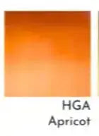 HGAQ Apricot
