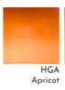 HGAQ Apricot