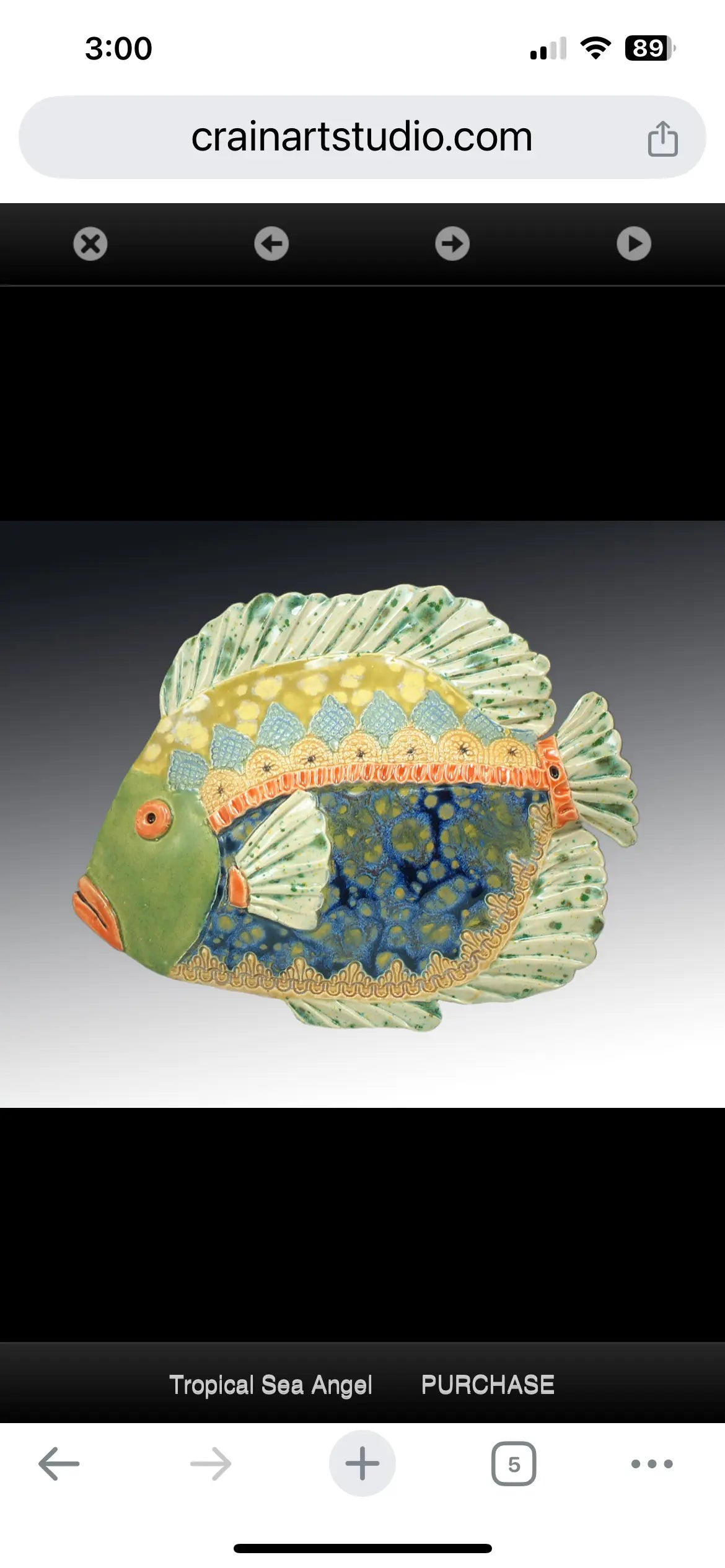Cathy Crain Tropical Sea Angel Crain Pottery Art Studio