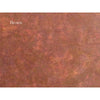 Brown Color Sample