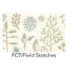 FCT FieldSketches Shade