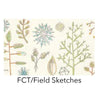 FCT Shade Field Sketches