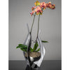 Girardini Design Orchid or Flower Display Vases in Aqua Slate or Steel Artistic Artisan Designer Vases Steel