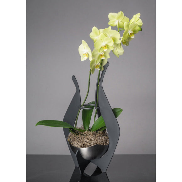 Girardini Design Orchid or Flower Display Vases in Aqua Slate or Steel Artistic Artisan Designer Vases  Slate
