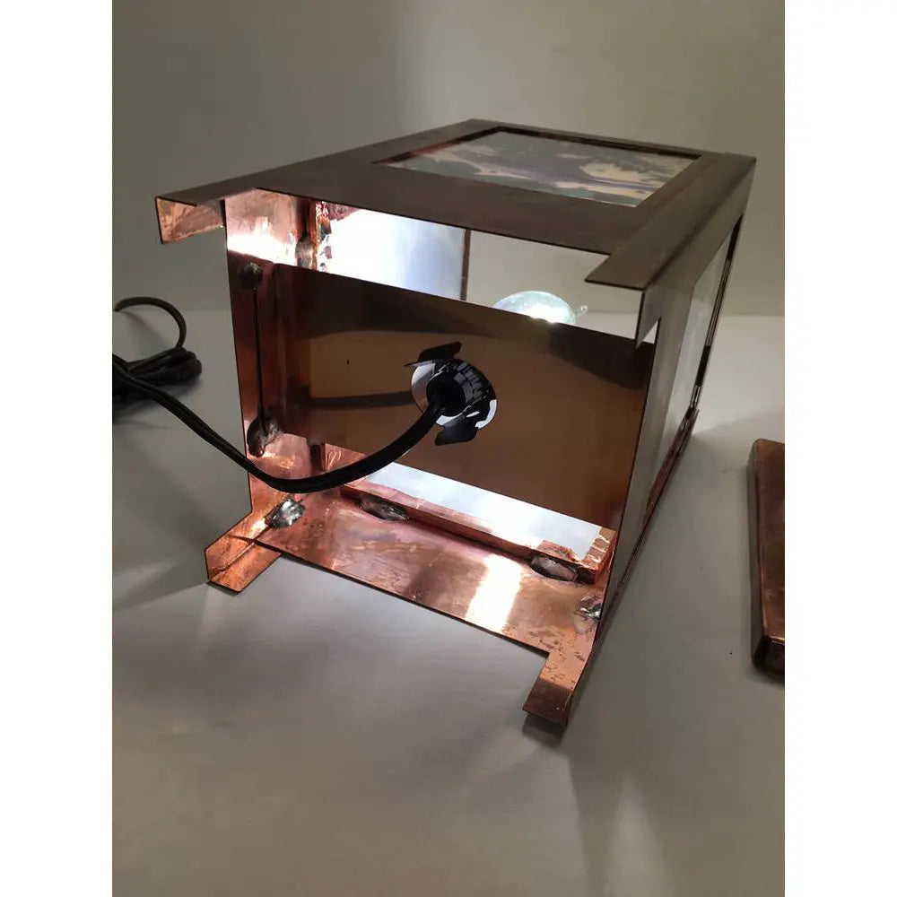 Grace Gunning Blue Birds Picture Light Artistic Artisan Designer Lighting
