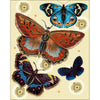 Colorful Butterfies Picture Light by Grace Gunning