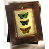 Grace Gunning Three Butterflies Reliquary Box Artistic Artisan Designer Keepsake Boxes