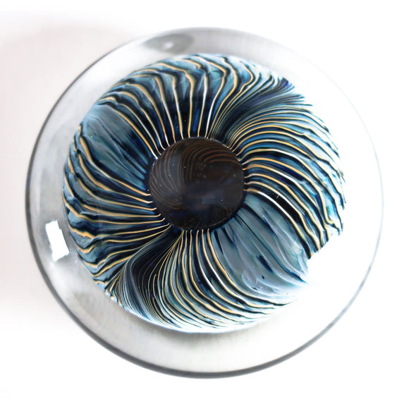 Grateful Gathers Glass By Danny Polk Jr Aquanacci Flat Feathered Paperweight Artisan Crafted Hand Blown American Art Glass