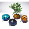 Grateful Gathers Glass By Danny Polk Jr Glossy and Frosted Ikebana Vases Artisan Crafted Hand Blown American Art Glass