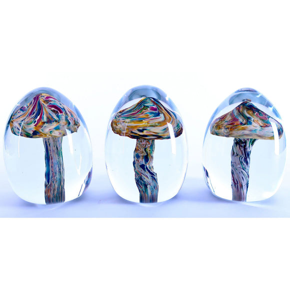 Grateful Gathers Glass By Danny Polk Jr Mushroom Paperweights Artisan Crafted Hand Blown American Art Glass
