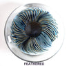 AGUANNaCCI FEATHERED flat paperweight