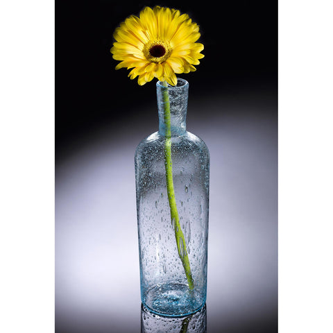 Hot Glass Alley Jake Pfeifer Nautical Series Rum Runner Bottle Artistic Hand Blown Glass