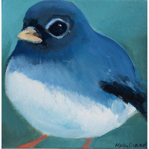Molly Cranch Artist Painting Baby Jay 6x6 OL04 Original One Of A Kind Acrylic Painting