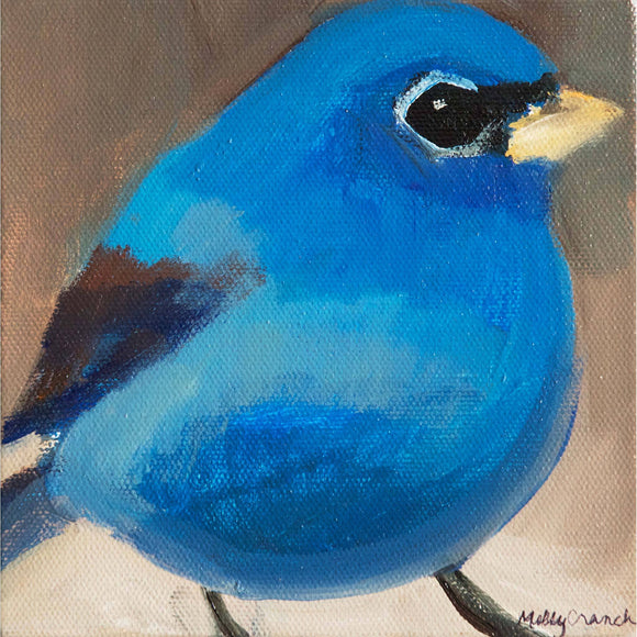 Molly Cranch Artist Painting Blue Bird 6x6 OLO5 Original One Of A Kind Acrylic Painting