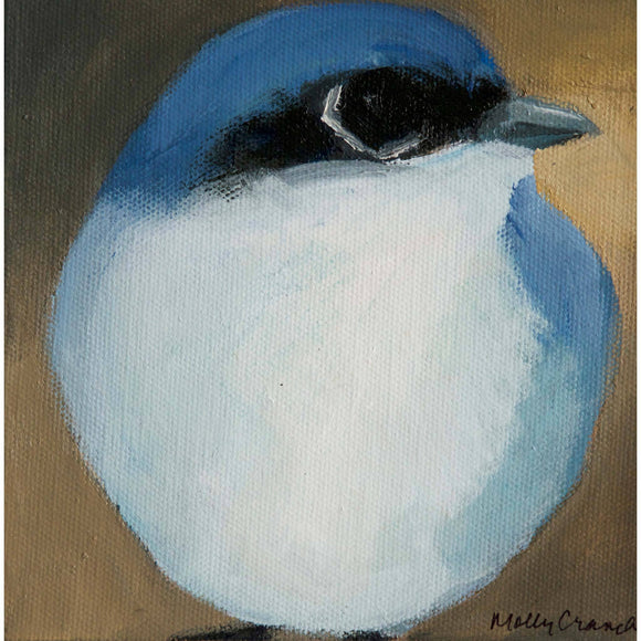 Molly Cranch Artist Painting Blue Jay 6x6 OL01 Original One Of A Kind Acrylic Painting