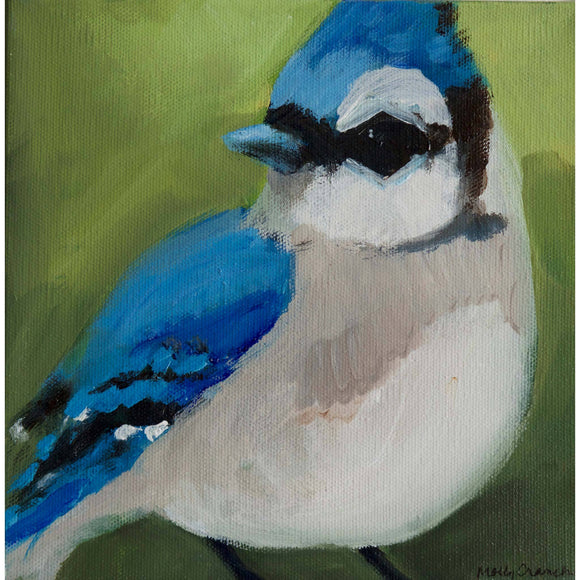 Molly Cranch Artist Painting Blue Jay 8x8 OL08 Original One Of A Kind Acrylic Painting