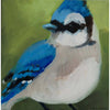 Molly Cranch Artist Painting Blue Jay 8x8 OL08 Original One Of A Kind Acrylic Painting