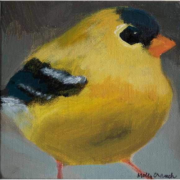 Molly Cranch Artist Painting Yellow Finch 6x6 OL03 Original One Of A Kind Acrylic Painting